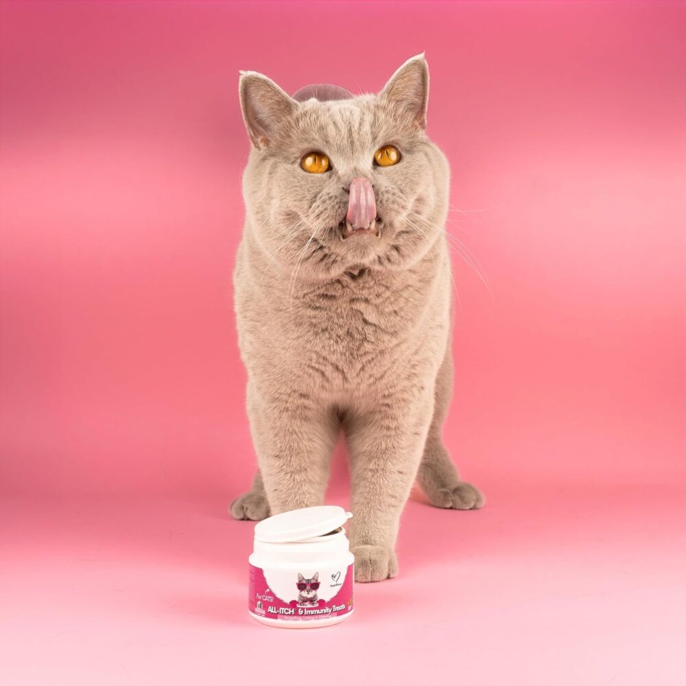 NutriPaw All-Itch Immunity Treats For Cats - Soothe Itchy Paws, Eyes, Ears, Skin - Stop Itching, Licking, Scratching & Excessive Grooming breeds - Supports Seasonal Itching - Image 7