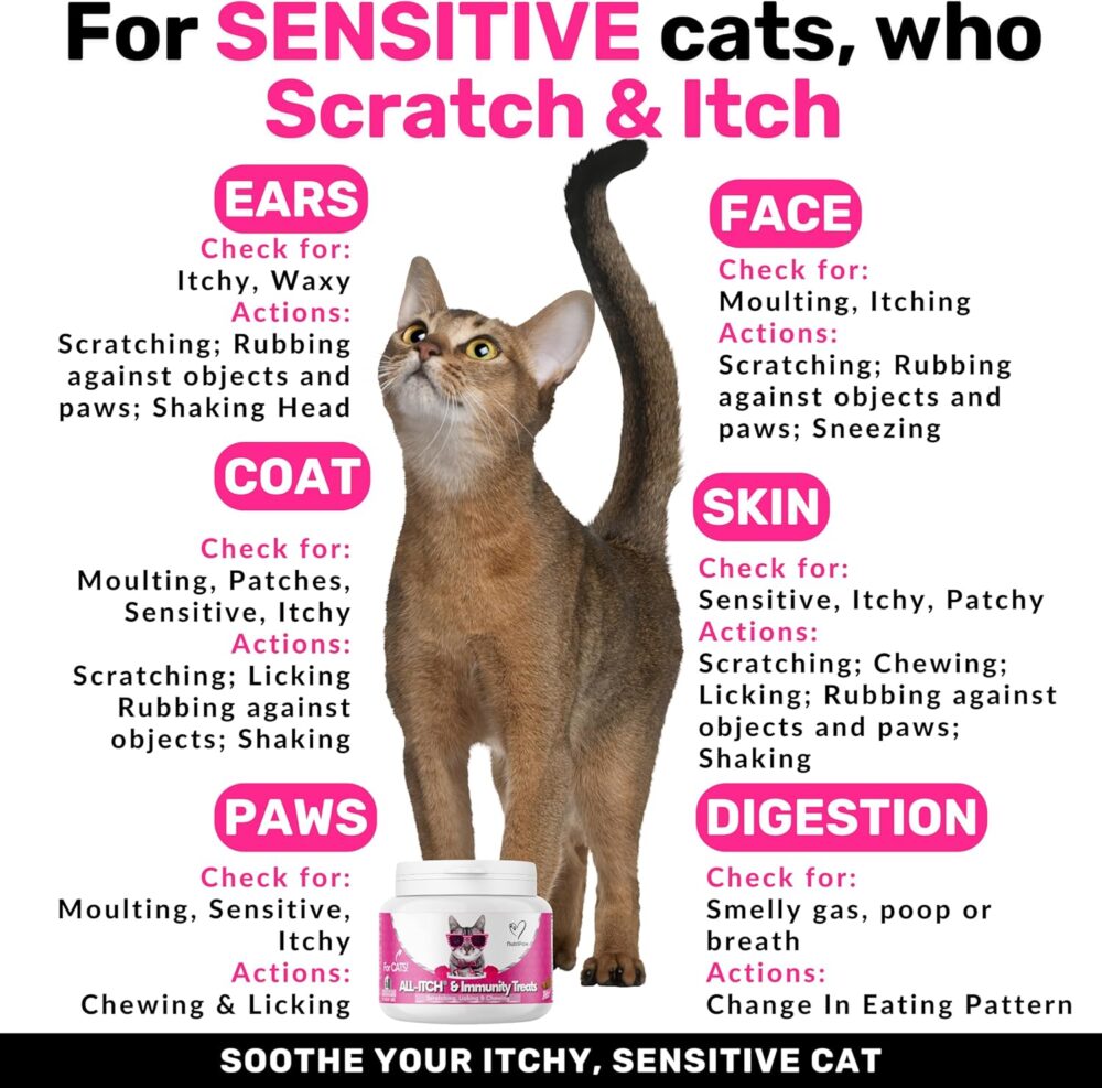 NutriPaw All-Itch Immunity Treats For Cats - Soothe Itchy Paws, Eyes, Ears, Skin - Stop Itching, Licking, Scratching & Excessive Grooming breeds - Supports Seasonal Itching - Image 3